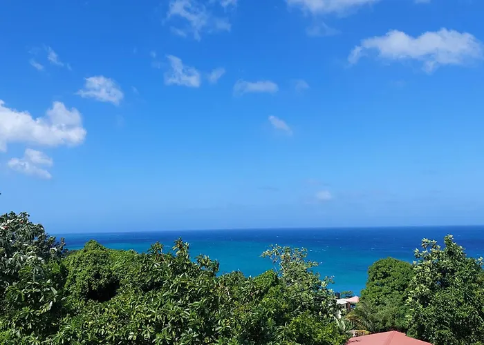 Port Antonio Dog Friendly Lodging and Hotels
