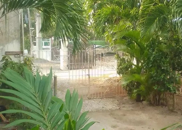 Negril Dog Friendly Lodging and Hotels