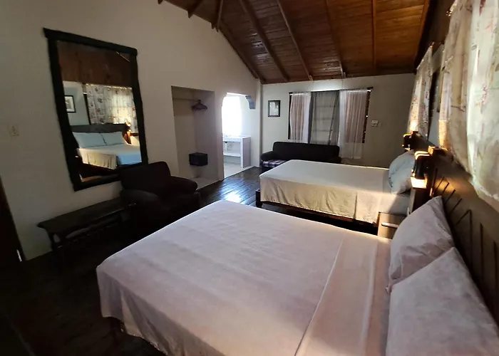 Negril Pet friendly City Center Hotels