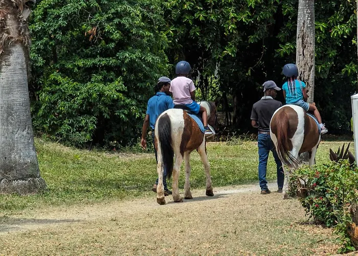 Montego Bay Vacation Rentals
