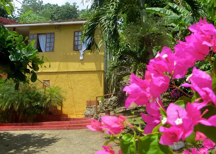 Port Antonio Resorts